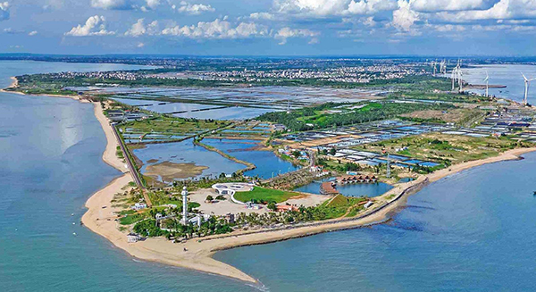 湛江奮力推進“百千萬工程” 產業筋骨壯 城鄉顏值新