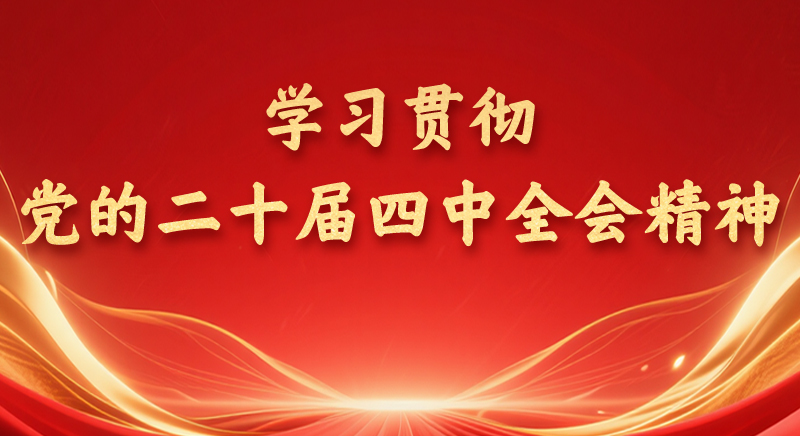 學習貫徹黨的二十屆四中全會精神